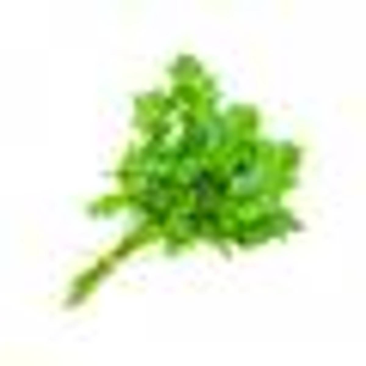 Coriander Leaves 100g