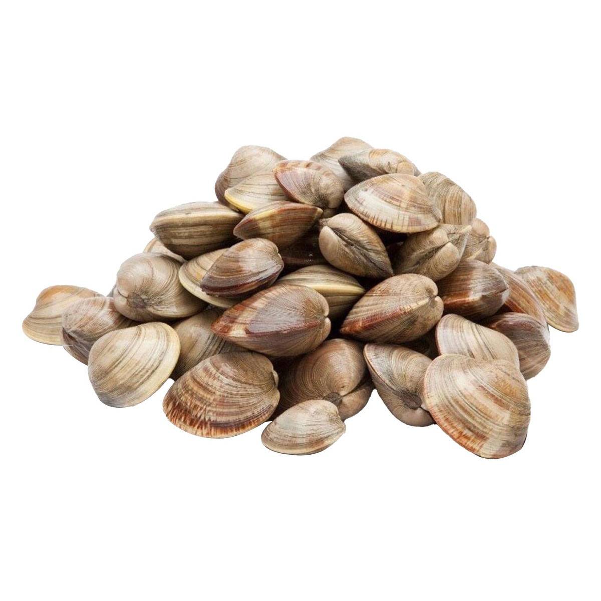 cococa Clams 1kg Cococa Private Limited Buy online Buy