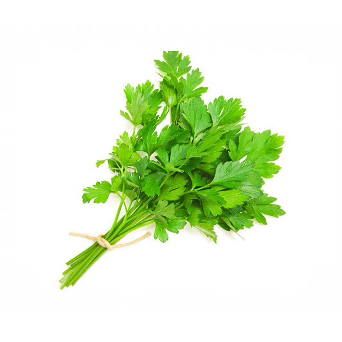 cococa Coriander Leaves 1kg Cococa Private Limited Buy
