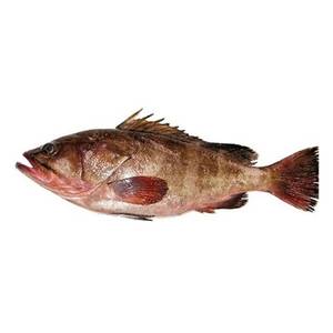 Hamour Fish 1kg