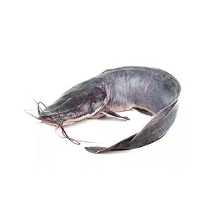 Catfish(Valarth) 1kg