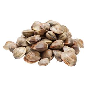 Clams 1kg