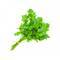 Coriander Leaves 250g